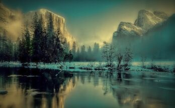 Photoshop